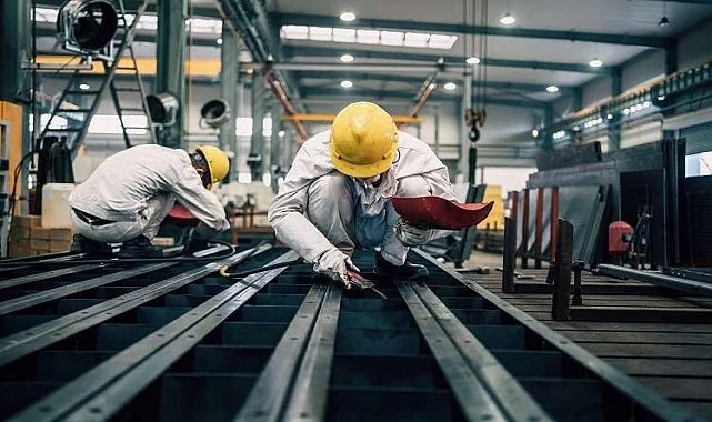 Milas Ev Taşıma Personeli